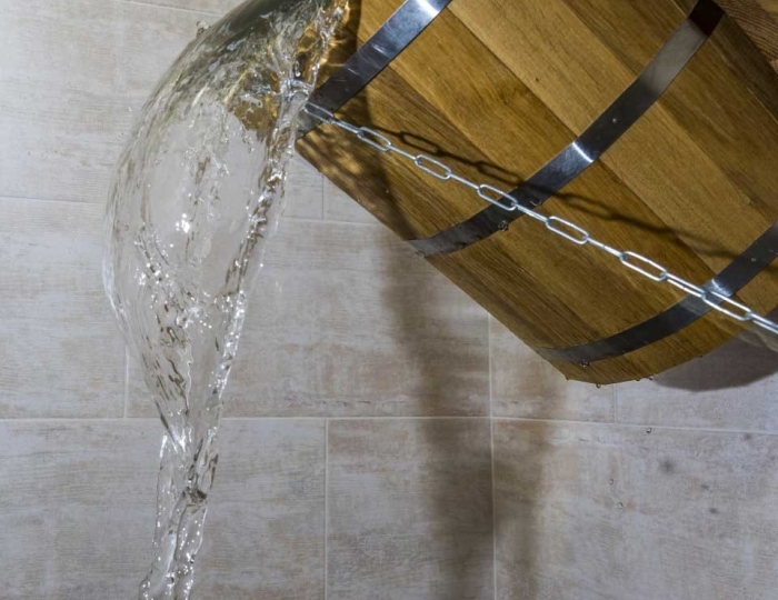 SPA-отдых - Санаторий «Воронеж» Ессентуки